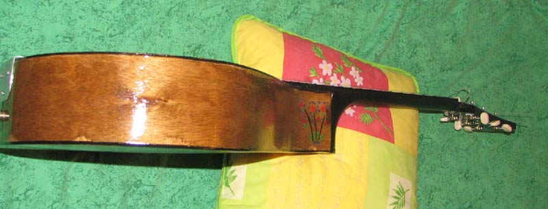 bouzoukguitare5